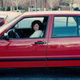 Illustration for article titled What It Was Like Getting My First Drivers License At 31 Years Old